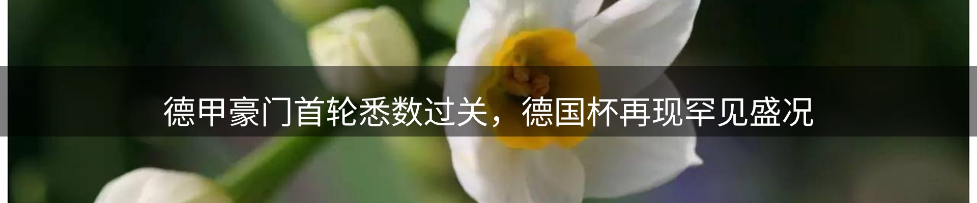 内页banner